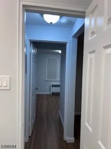 a view of a hallway with wooden floor and closet