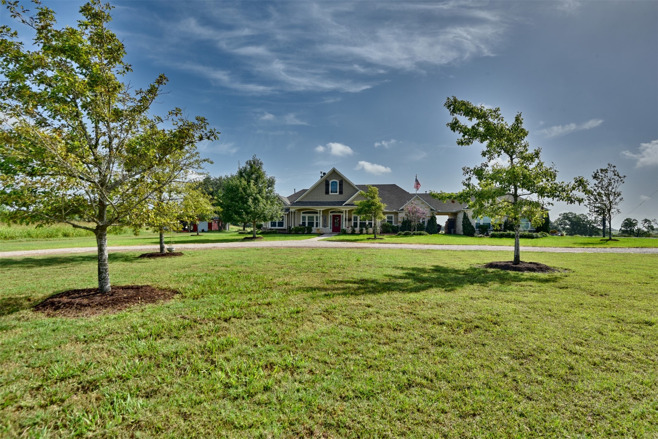 a view of a garden with large trees