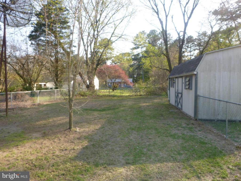 320 Cherry Way Salisbury, MD 21804 - Photo 2 of 9 a view of a yard with large trees