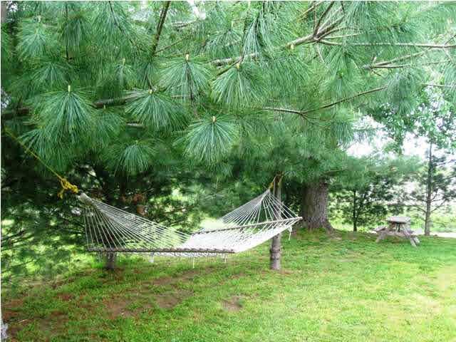 22907 Orsonville Road St. Croix, IN 47576 - Photo 26 of 28 Gallery Image 26