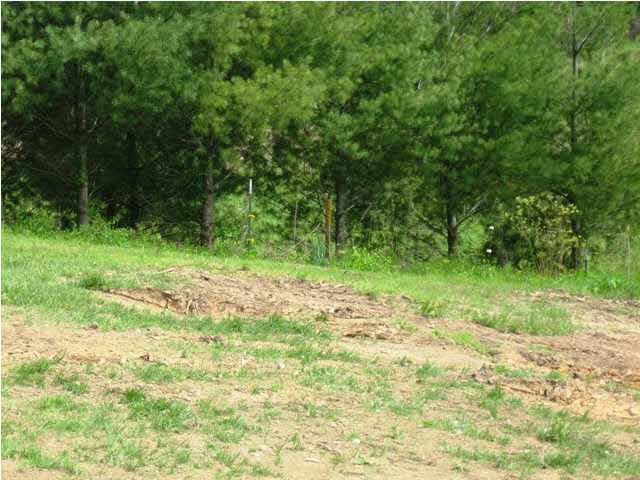 22907 Orsonville Road St. Croix, IN 47576 - Photo 28 of 28 Gallery Image 28