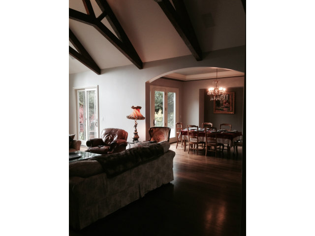 130 Alturas Drive Burlingame, CA 94010 - Photo 5 of 12 a living room with furniture and a potted plant