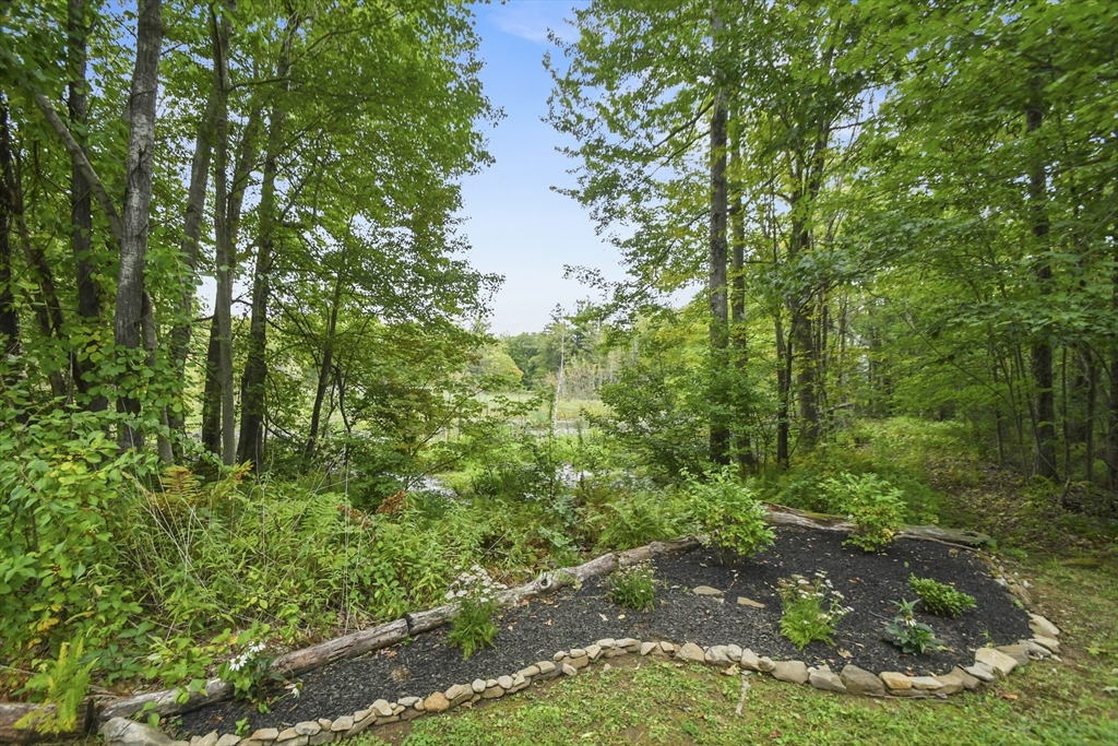 29 Prescott Street Rutland, MA 01543 - Photo 30 of 30 a view of a lush green forest