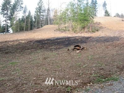 2 Sunny Basin Road Castle Rock, WA 98611 - Photo 1 of 1 Gallery Image 1