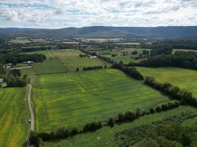 an aerial view of a houses with outdoor space and trees all around