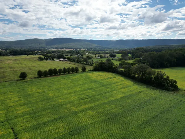 a view of a golf course with a garden