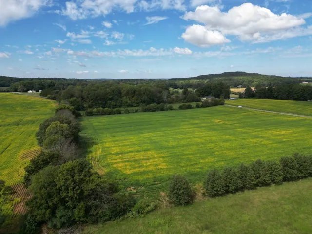 a view of an ocean from a yard