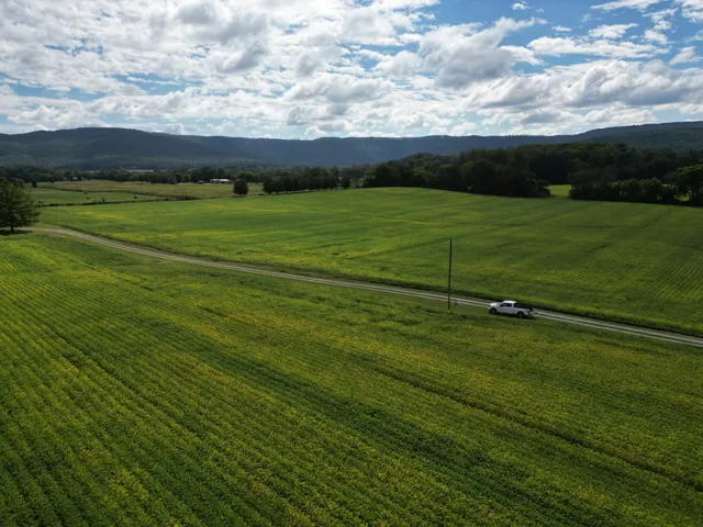 a view of a golf course with a lake