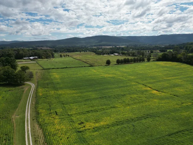 a view of an outdoor space and a yard