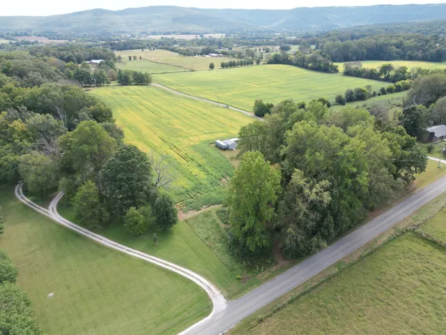 a view of a swimming pool and a mountain