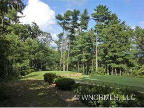 6 Golf View Road Asheville, NC 28804 - Photo 4 of 12 Gallery Image 4