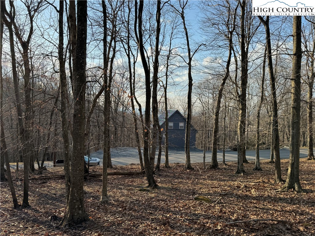 210 Pine Ridge Road Beech Mountain, NC 28604 - Photo 3 of 15 a view of outdoor space with lots of trees