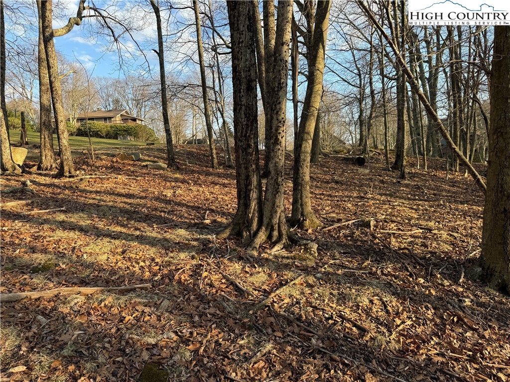 210 Pine Ridge Road Beech Mountain, NC 28604 - Photo 7 of 15 a view of a yard with trees