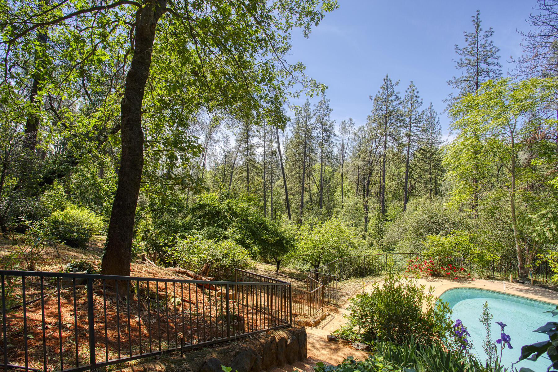 17829 Ranchera Road Shasta Lake, CA 96019 - Photo 24 of 39 a view of a garden