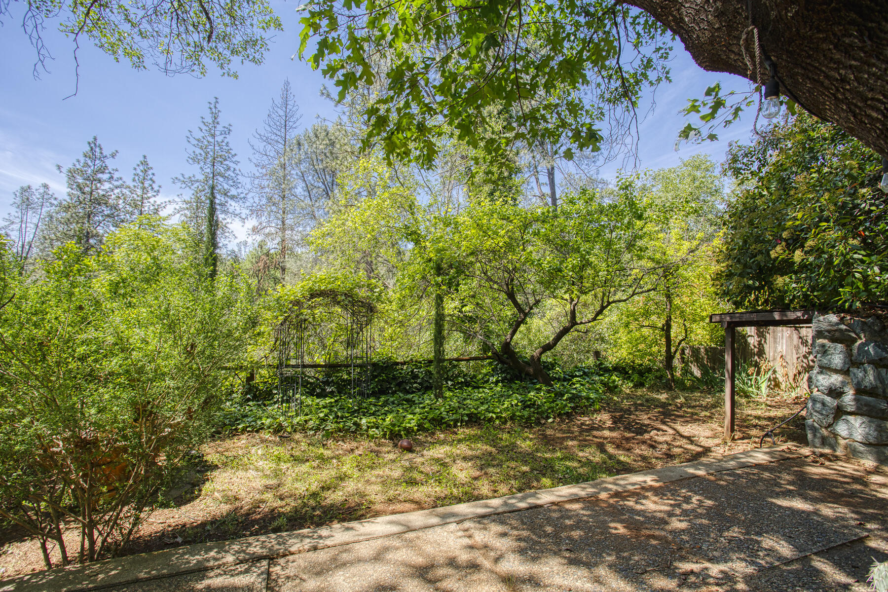 17829 Ranchera Road Shasta Lake, CA 96019 - Photo 25 of 39 a backyard of a house with lots of green space