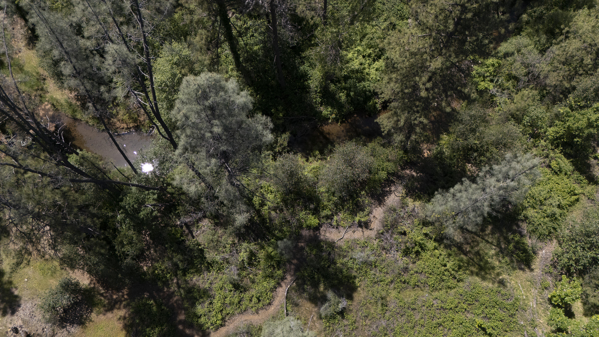 17829 Ranchera Road Shasta Lake, CA 96019 - Photo 38 of 39 a view of a forest with houses