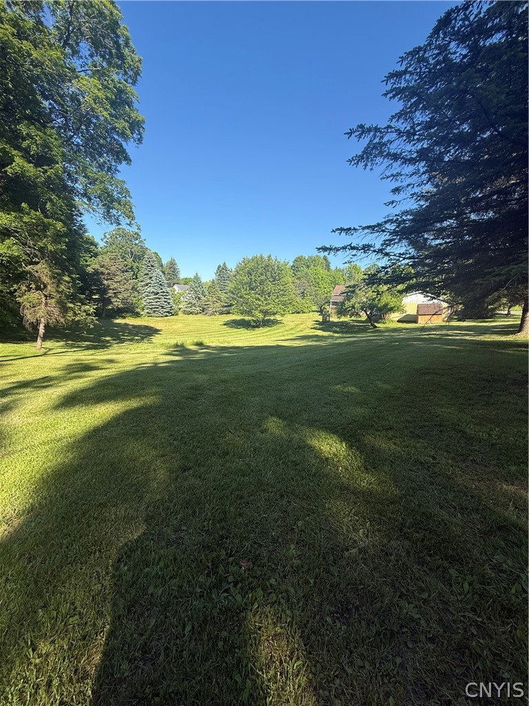 9549 Crooked Hill Road Paris, NY 13322 - Photo 6 of 26