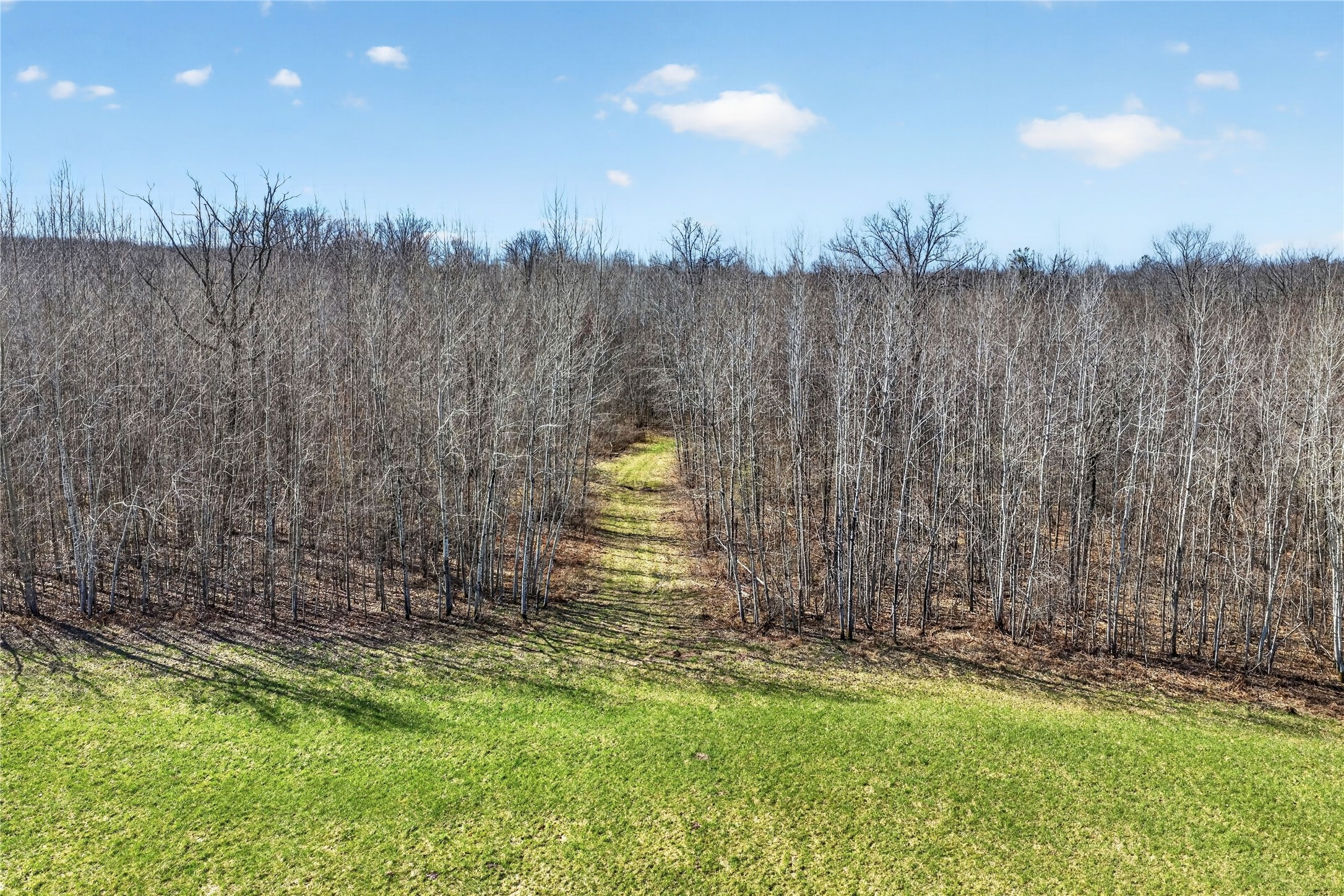 12499 Brooklyn Road Minong, WI 54859 - Photo 14 of 31