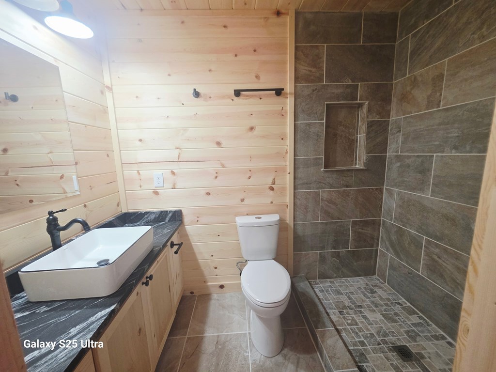 369 Nottley River Road Murphy, NC 28906 - Photo 6 of 12