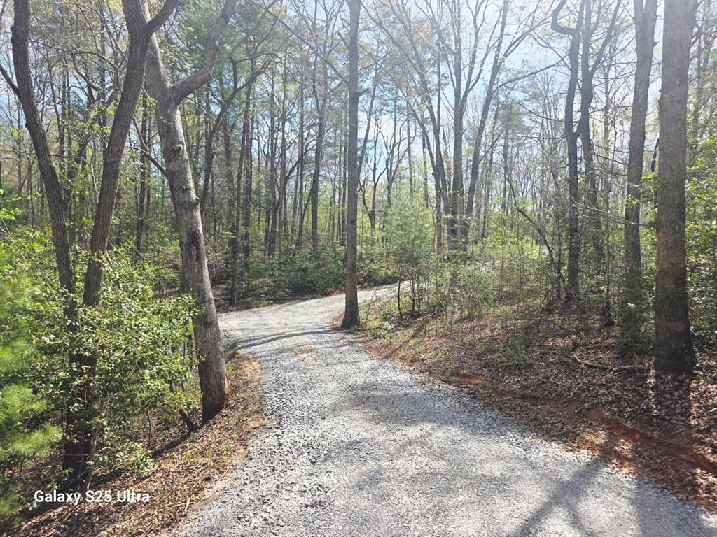 369 Nottley River Road Murphy, NC 28906 - Photo 8 of 12