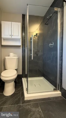 a bathroom with a toilet and a shower