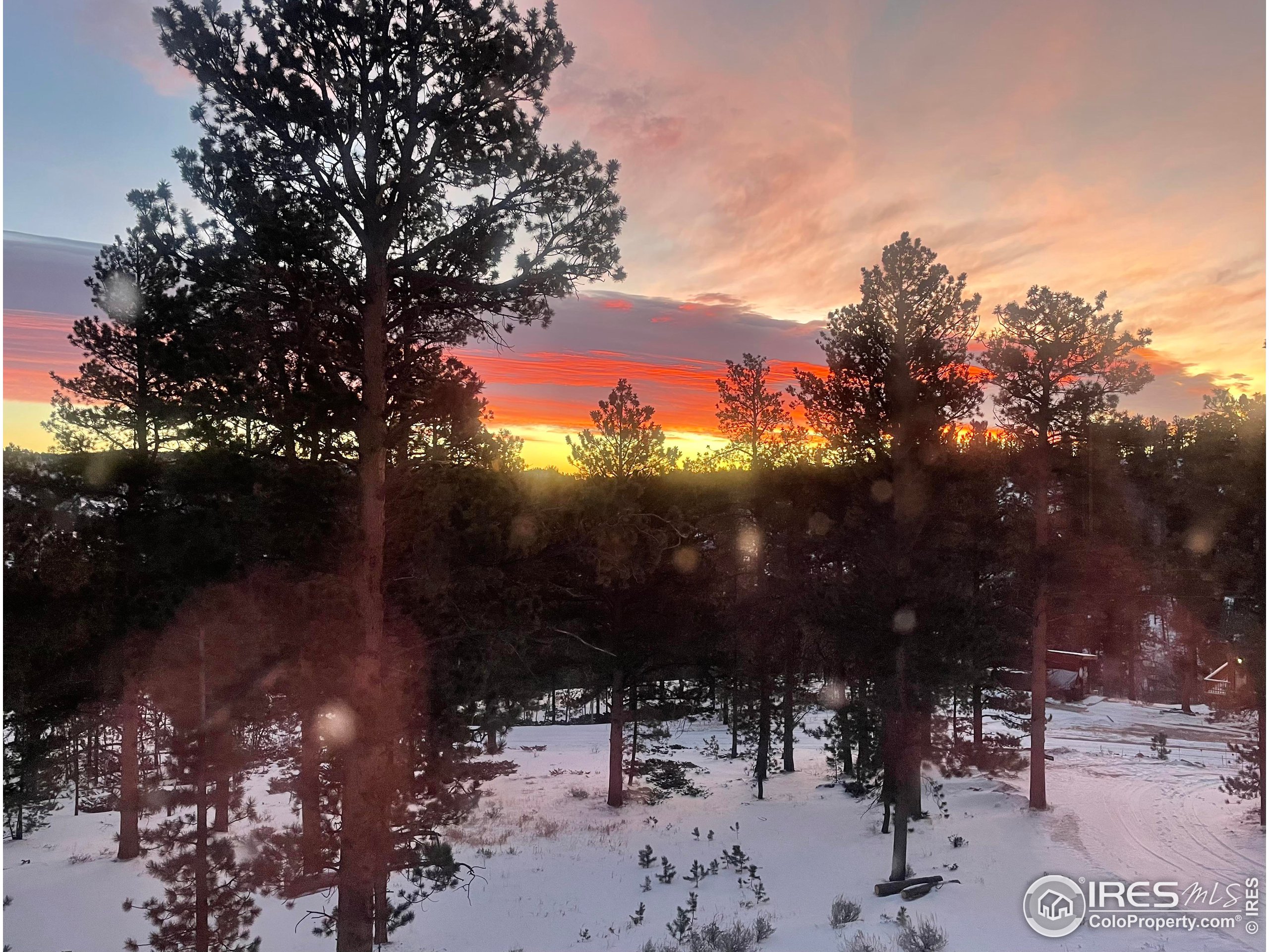 106 Beartrap Road Red Feather Lakes, CO 80545 - Photo 38 of 40