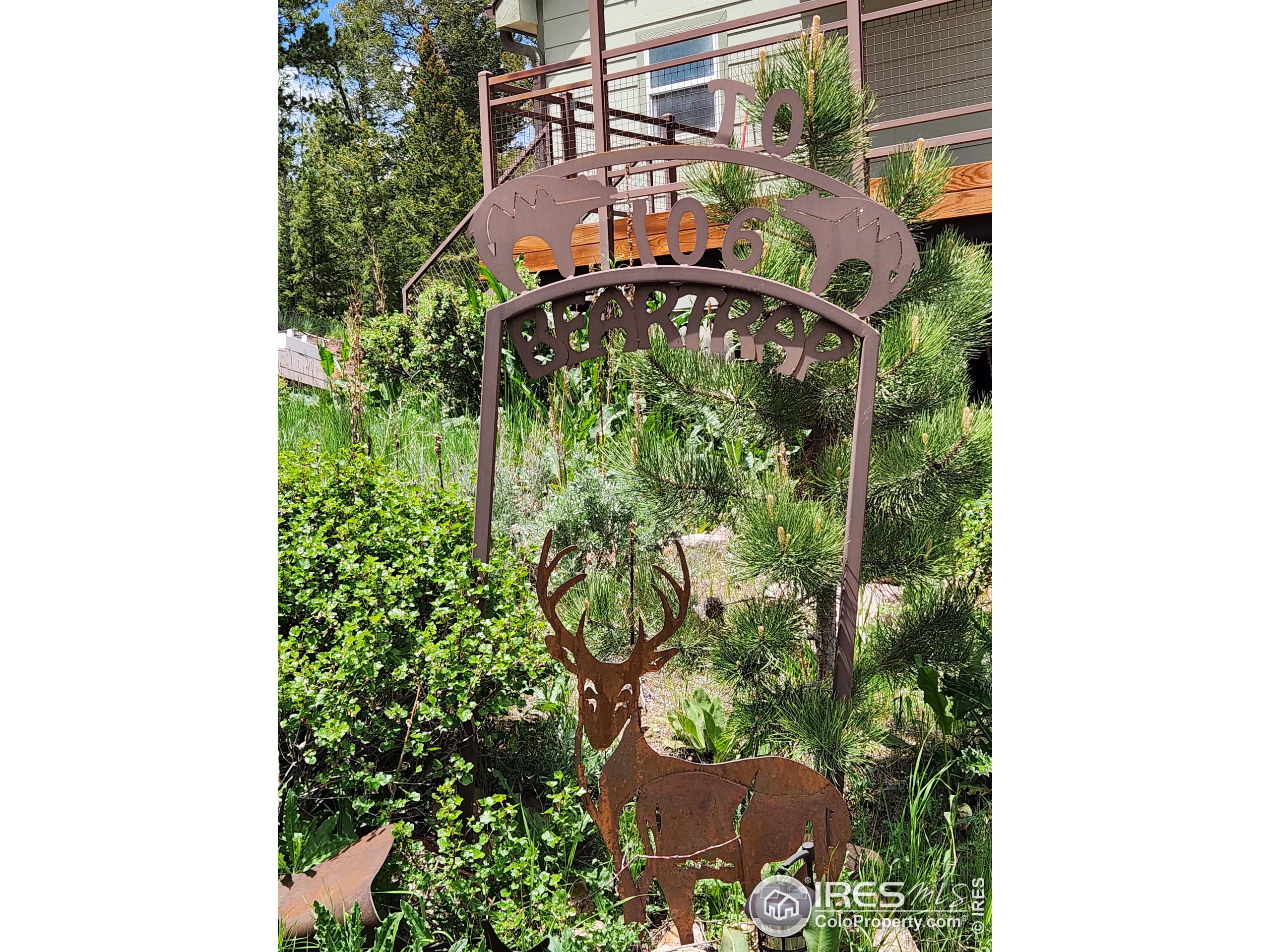 106 Beartrap Road Red Feather Lakes, CO 80545 - Photo 8 of 40