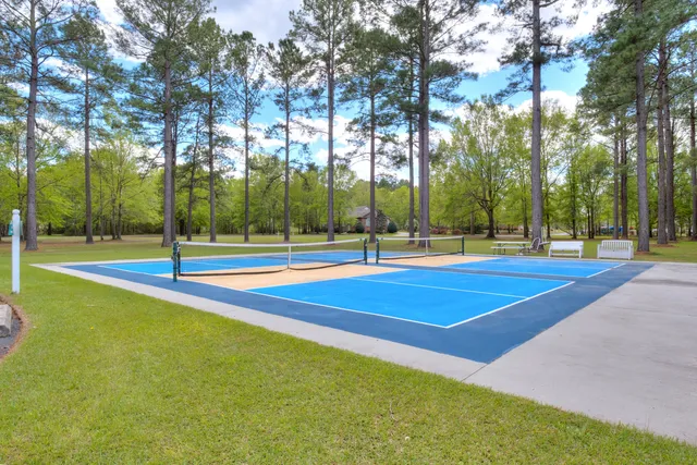 $30,000 | Tbd North Lake Circle, Manning, SC 29102