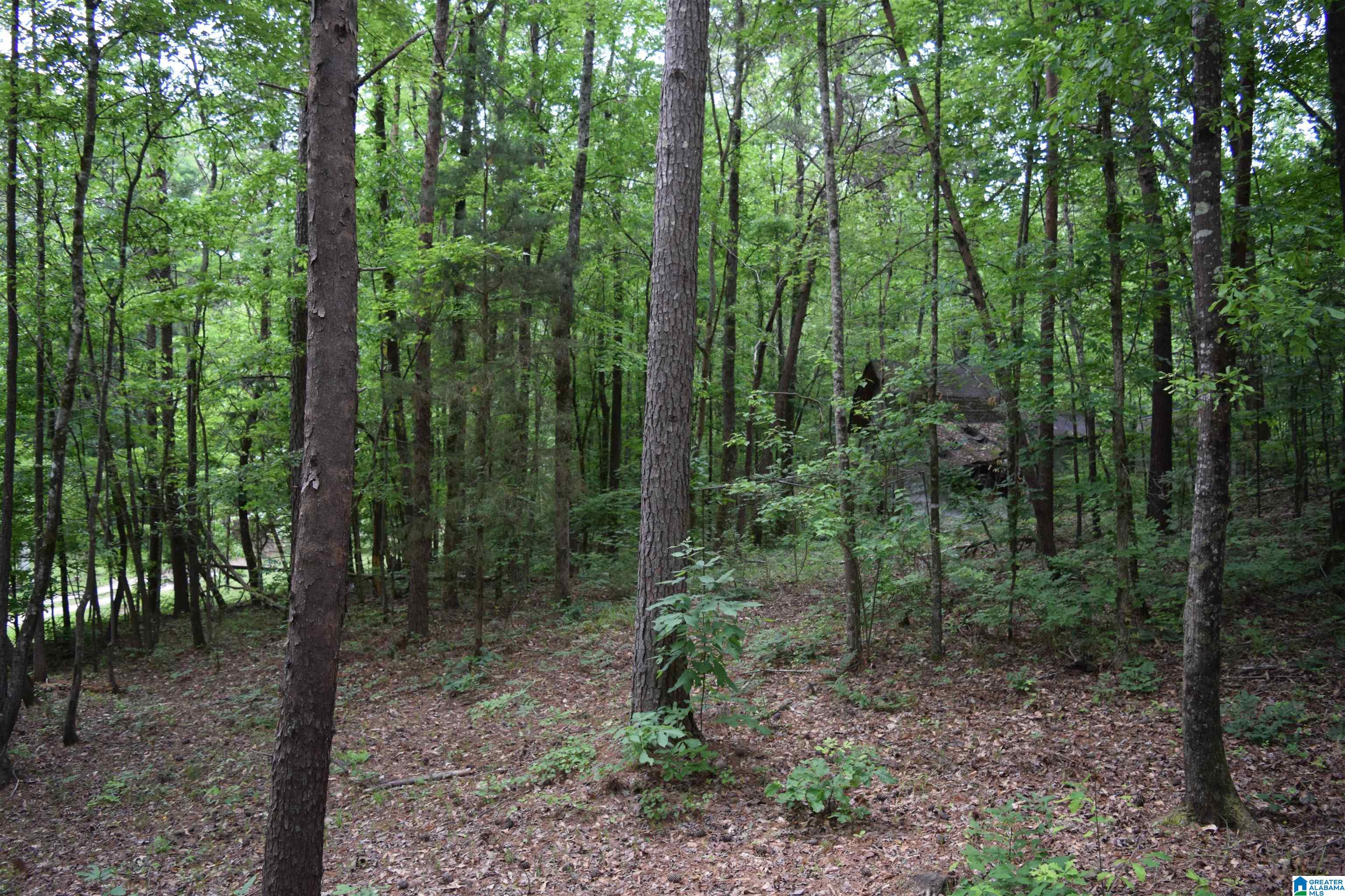 20112 Calhoun Road McCalla, AL 35111 - Photo 29 of 31 Gallery Image 29