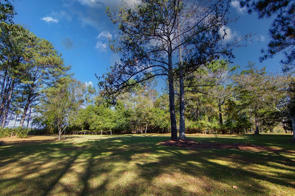 430 Duke Road Hamilton, GA 31811 - Photo 57 of 58 Gallery Image 57