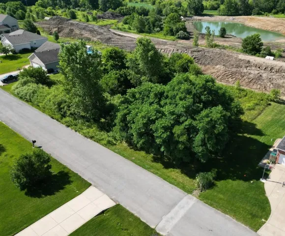 a view of a garden with pathway