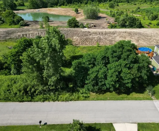 an aerial view of a house with a yard and a large tree
