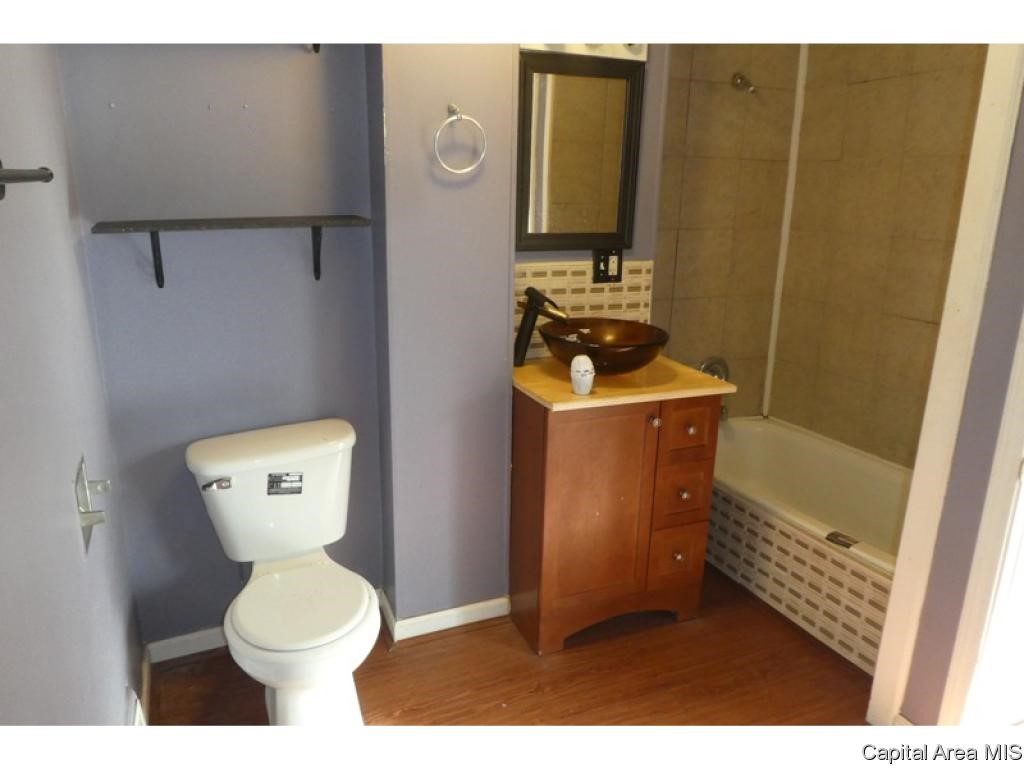 1028 West Jefferson Street Springfield, IL 62702 - Photo 17 of 19