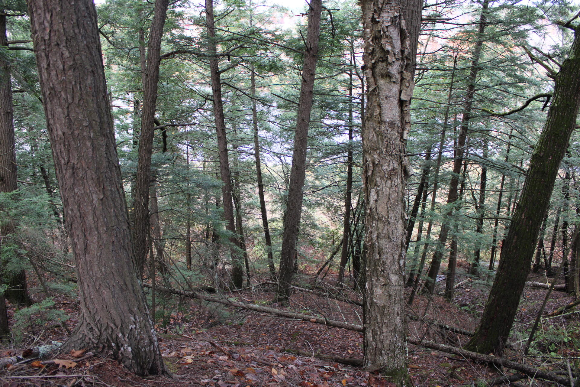 735 Sandy River Road Starks, ME 04911 - Photo 43 of 44 IMG_1792
