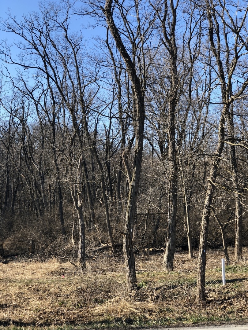 12940 West Hadley Road Homer Glen, IL 60491 - Photo 1 of 9