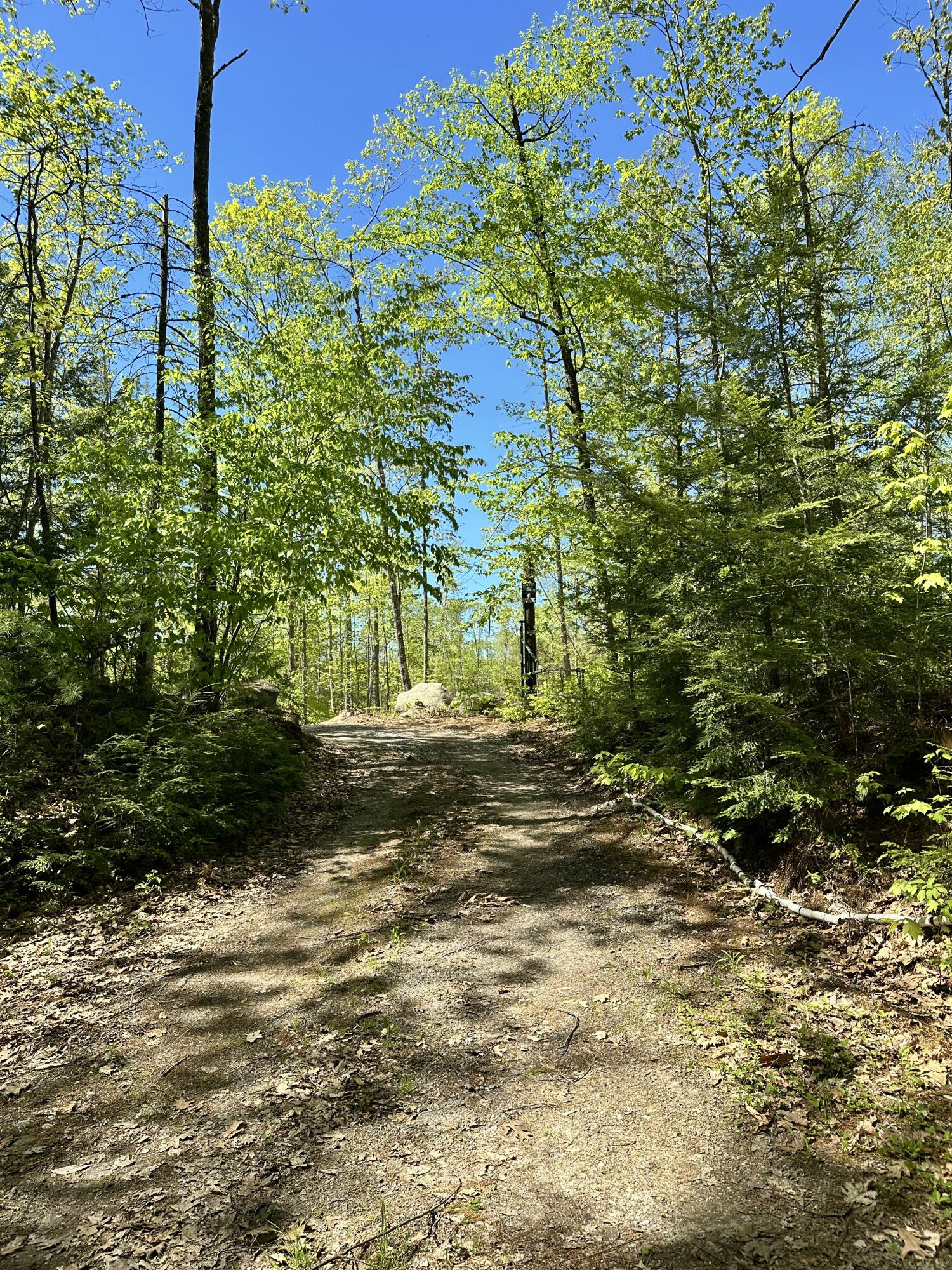 19 Grist Mill Road Naples, ME 04055 - Photo 4 of 31 Quiet Setting
