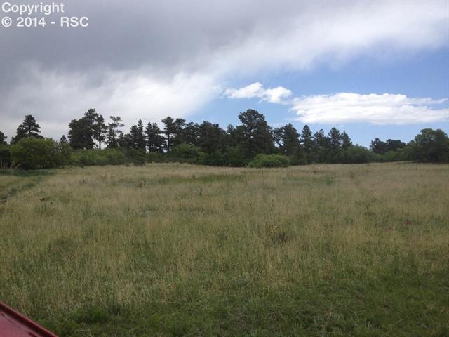 10595 Milam Road Colorado Springs, CO 80908 - Photo 3 of 9