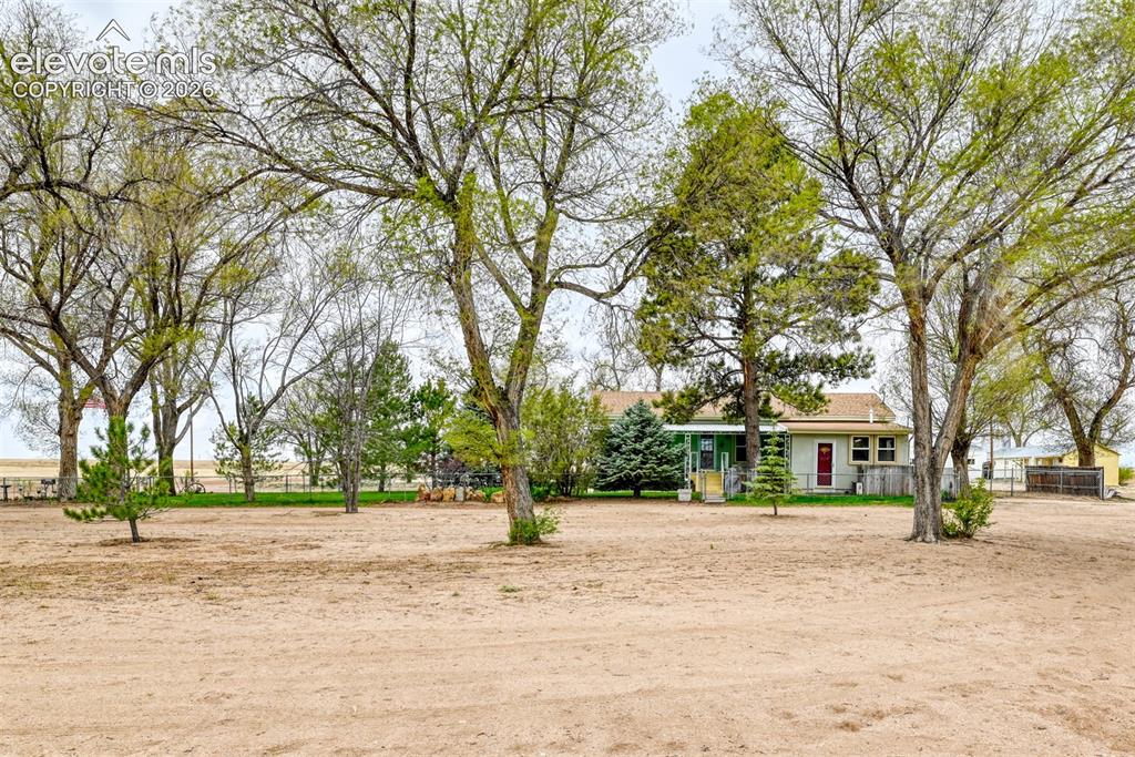 22558 Enoch Road Calhan, CO 80808 - Photo 26 of 50 a view of road with trees