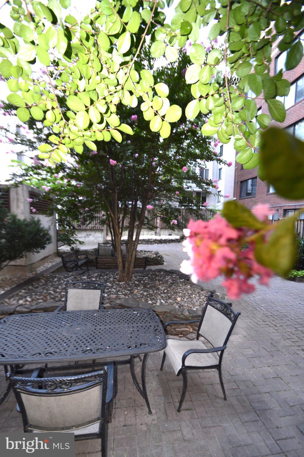 1245 13th Street Northwest, Unit 902 Washington, DC 20005 - Photo 20 of 51