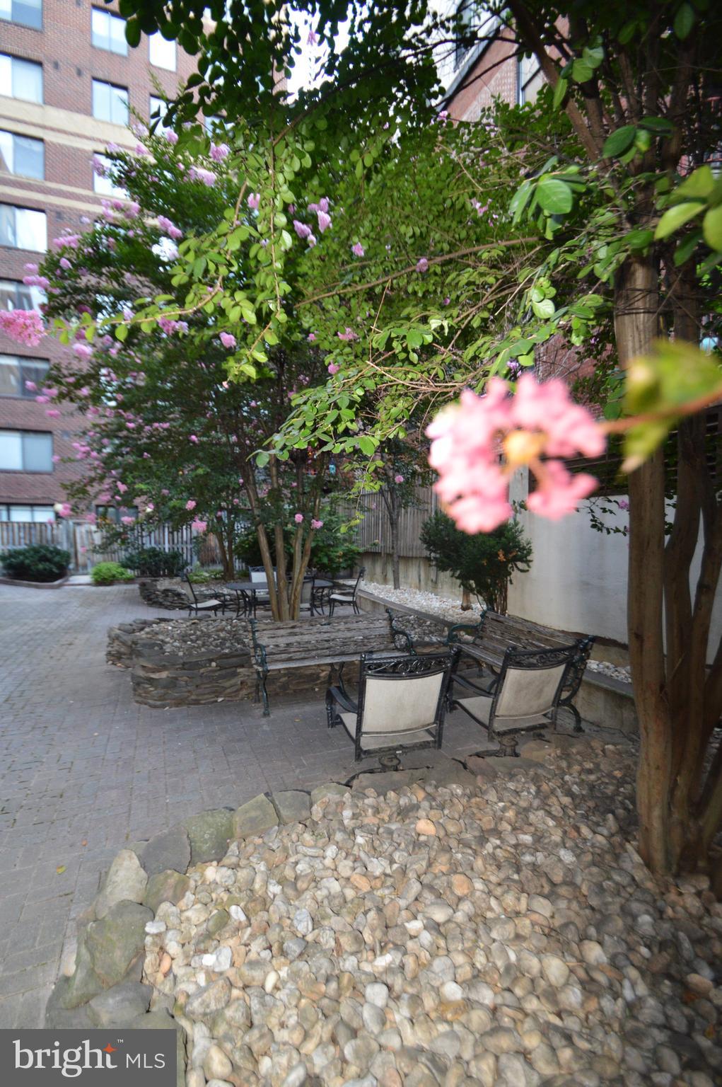 1245 13th Street Northwest, Unit 902 Washington, DC 20005 - Photo 21 of 51 Rear Courtyard