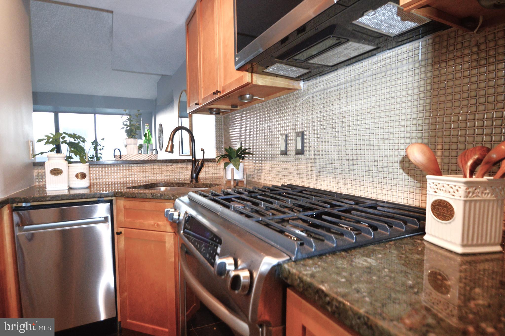 1245 13th Street Northwest, Unit 902 Washington, DC 20005 - Photo 47 of 51 Gas Range