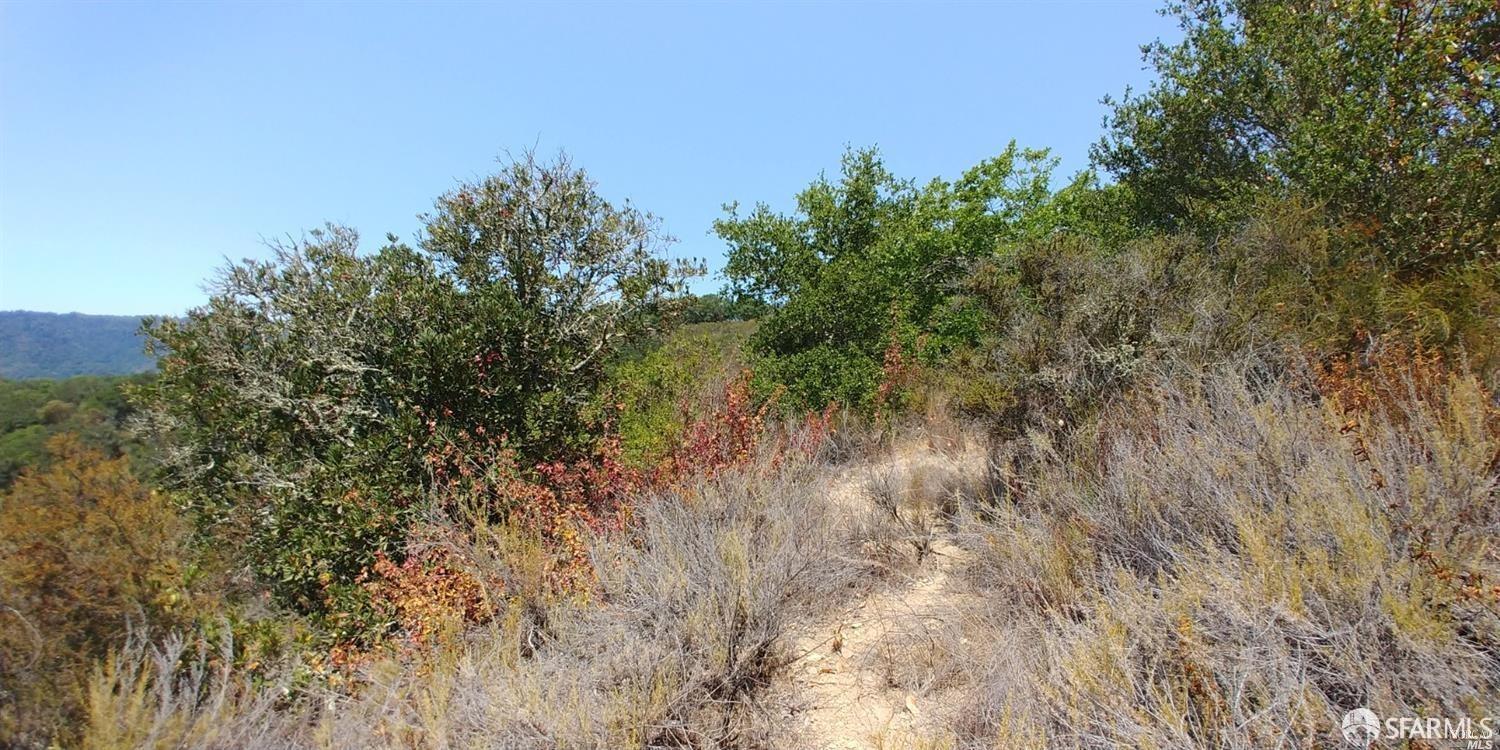 1 Poli Road Gilroy, CA 95020 - Photo 11 of 13