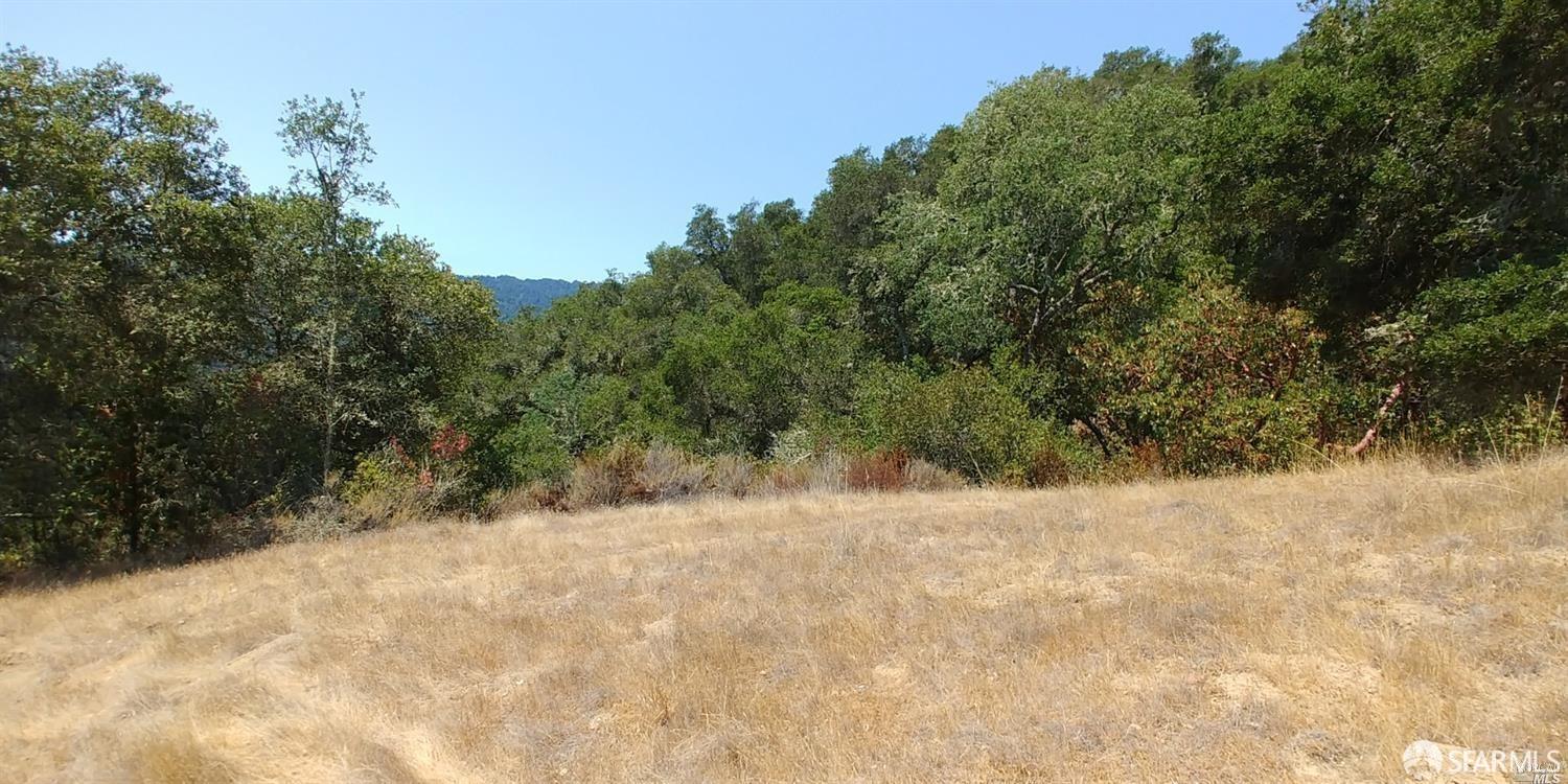 1 Poli Road Gilroy, CA 95020 - Photo 12 of 13