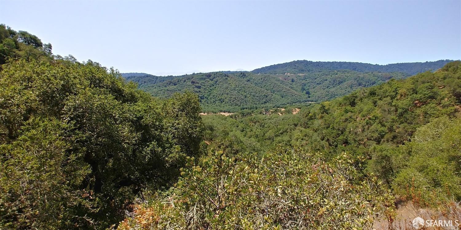 1 Poli Road Gilroy, CA 95020 - Photo 7 of 13