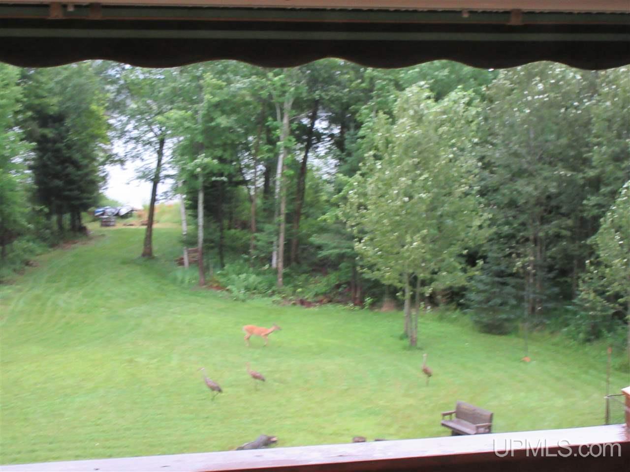 119 Ridge View Drive Iron River, MI 49935 - Photo 16 of 44