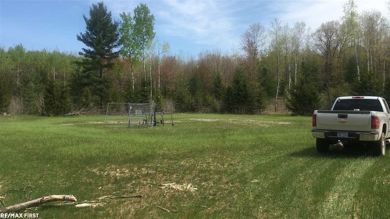 0 Mcmurphy Lapeer, MI 48446 - Photo 3 of 12 31371710-2.JPG