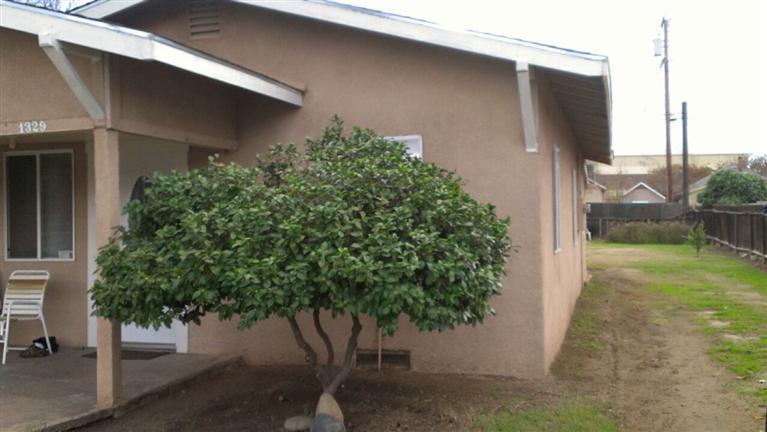 1329 J Street Reedley, CA 93654 - Photo 1 of 7