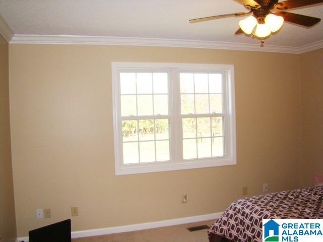 800 Brooks Lake Road Lincoln, AL 35096 - Photo 29 of 33