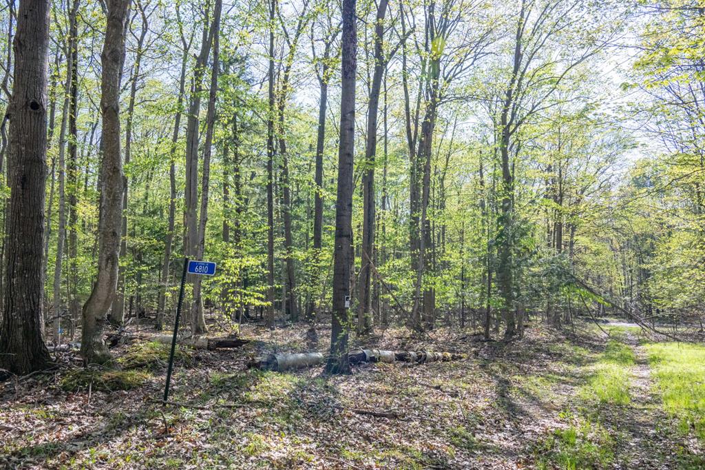 6810 Spring Lane Egg Harbor, WI 54209 - Photo 18 of 32