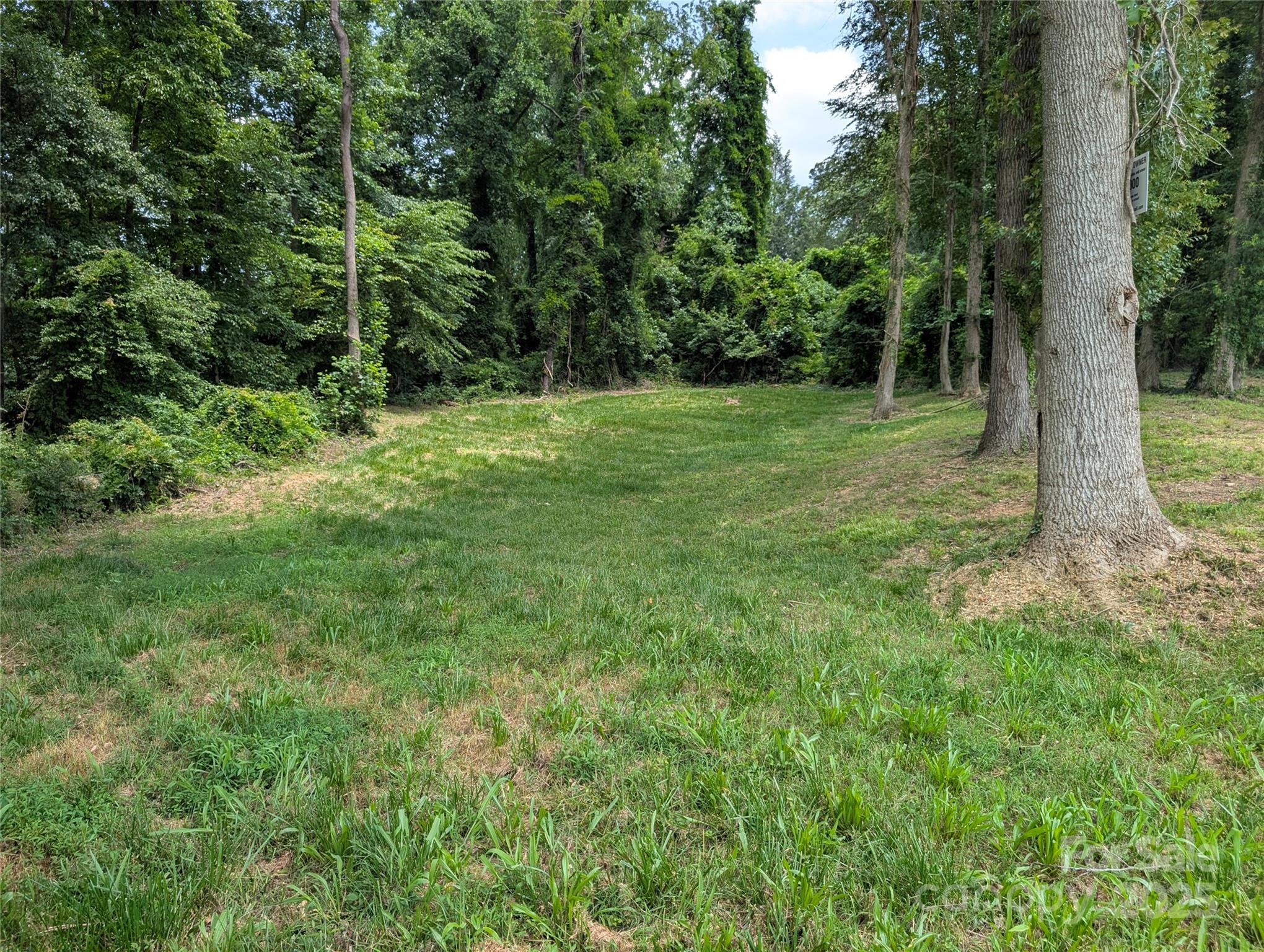 a view of outdoor space and yard